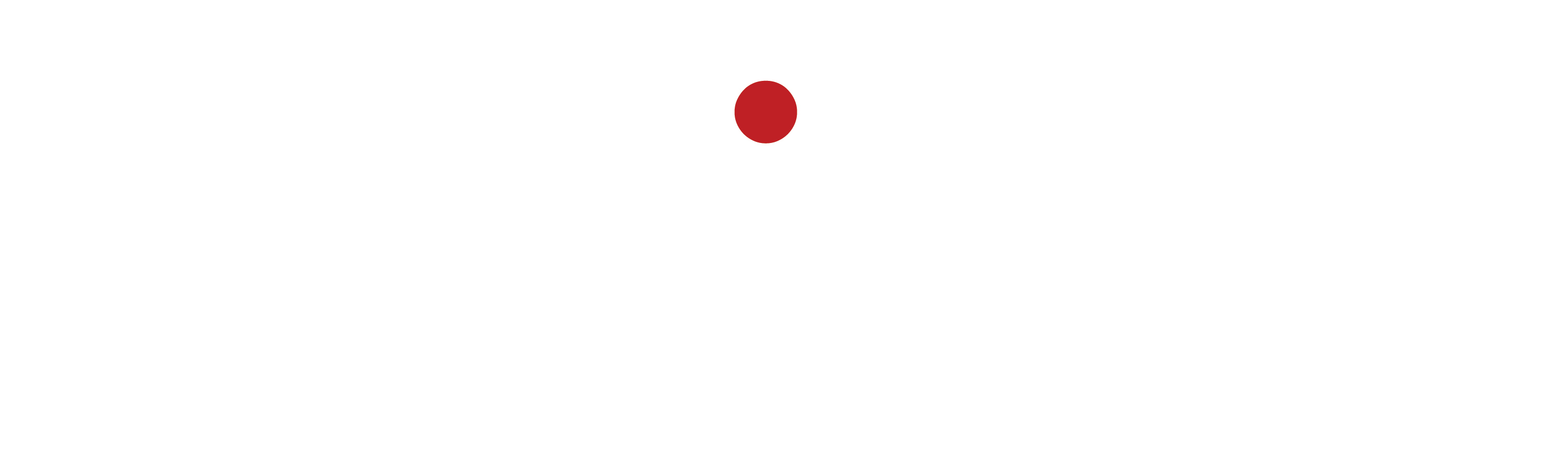 Neticks